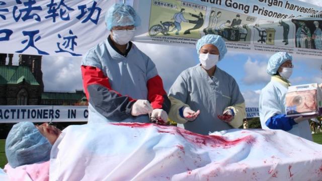 Tòa án: Trung Quốc thu hoạch nội tạng, phạm tội Chống lại loài người
